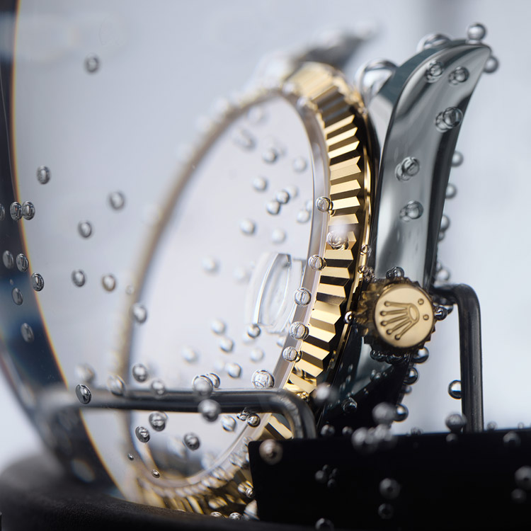 Rolex Servicing Procedure Assembly Of The Case Portrait Grand Rapids Mi