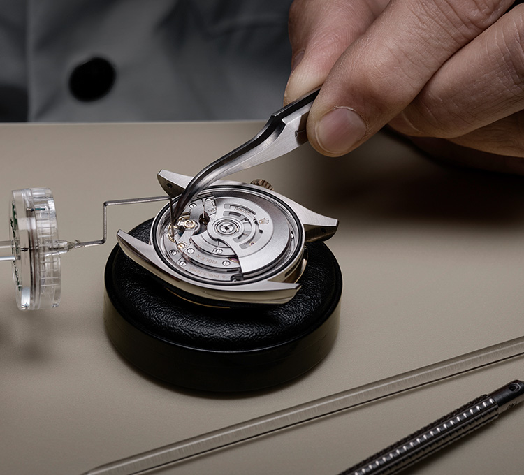 Rolex Servicing Procedure Precision Test Portrait Grand Rapids Mi