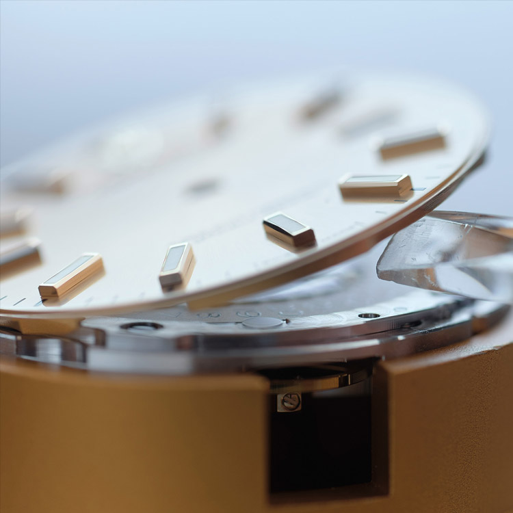 Rolex Servicing Procedure Preparation For Servicing Portrait Grand Rapids Mi