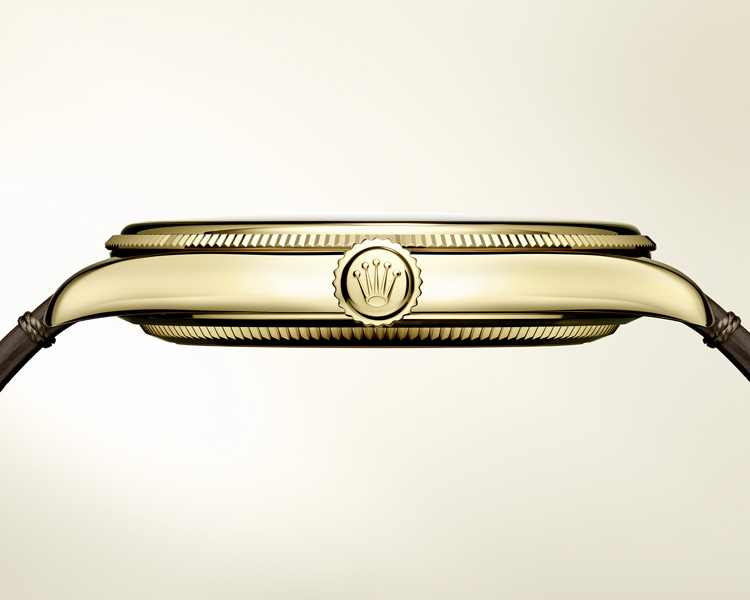 Rolex Official Jeweler Grand Rapids New 2023 Banner Portrait