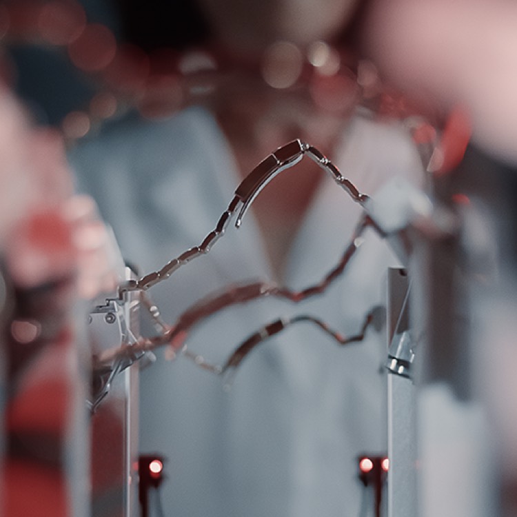 Rolex Watchmaking Innovation In Motion Portrait Grand Rapids