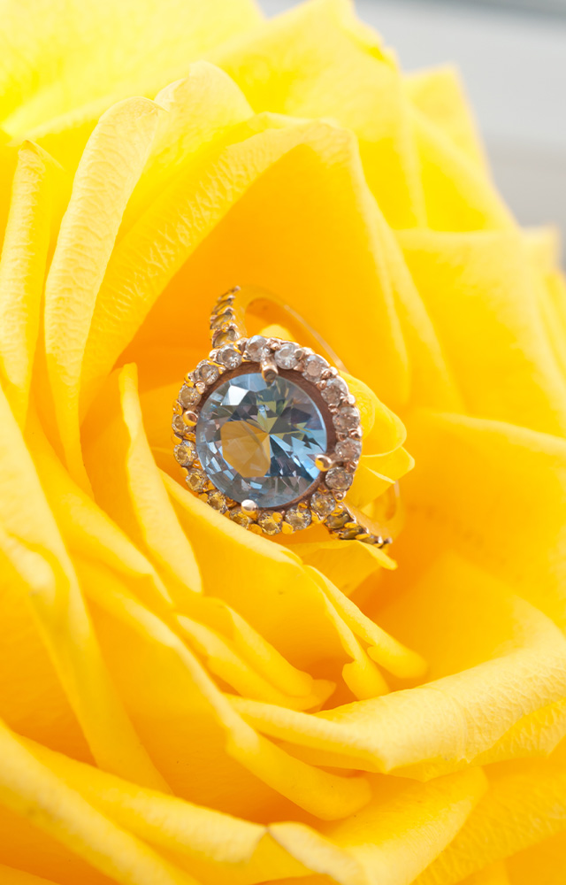 Engagement Ring Store In Grand Rapids Michigan