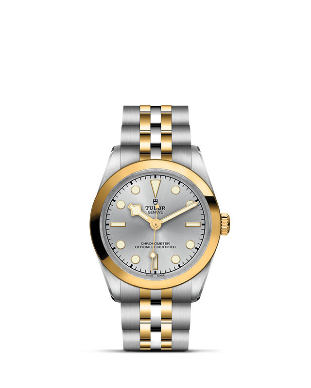 TUDOR Black Bay 31 S&G M79603-0002 Official Tudor Watch Jeweler Grand Rapids