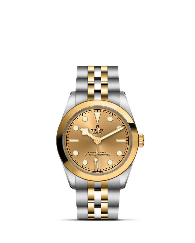 TUDOR Black Bay 31 S&G M79603-0005 Official Tudor Watch Jeweler Grand Rapids