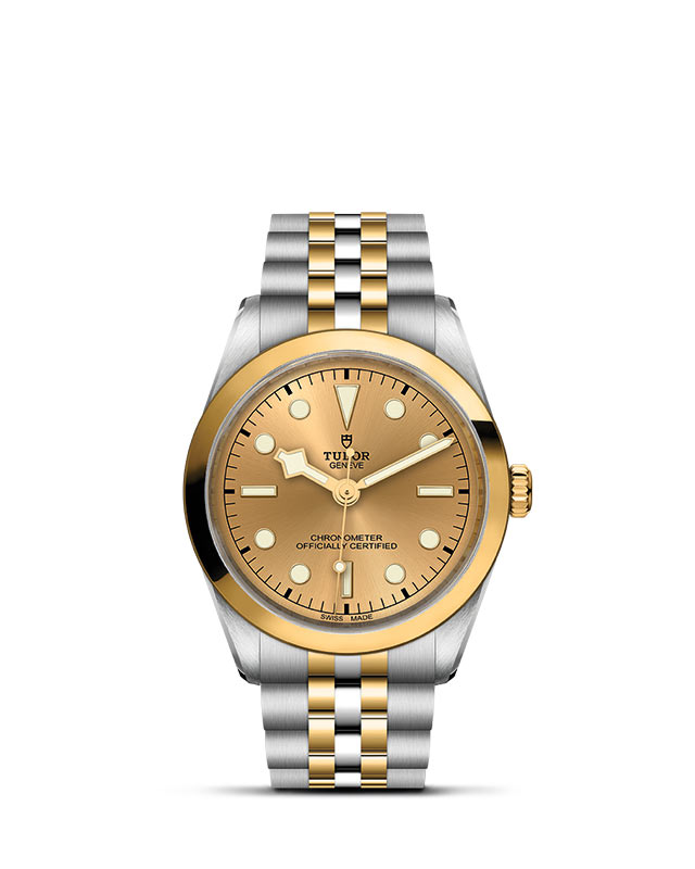 TUDOR Black Bay 36 S&G M79643-0005 Official Tudor Watch Jeweler Grand Rapids