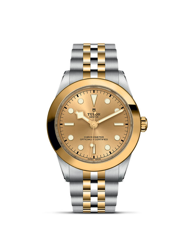 TUDOR Black Bay 39 S&G M79663-0005 Official Tudor Watch Jeweler Grand Rapids