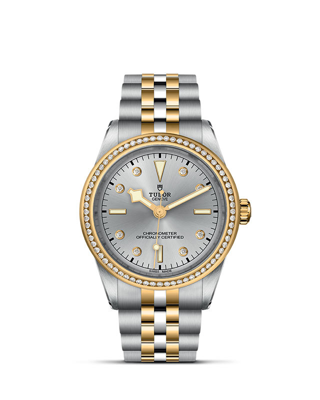 TUDOR Black Bay 39 S&G M79673-0006 Official Tudor Watch Jeweler Grand Rapids