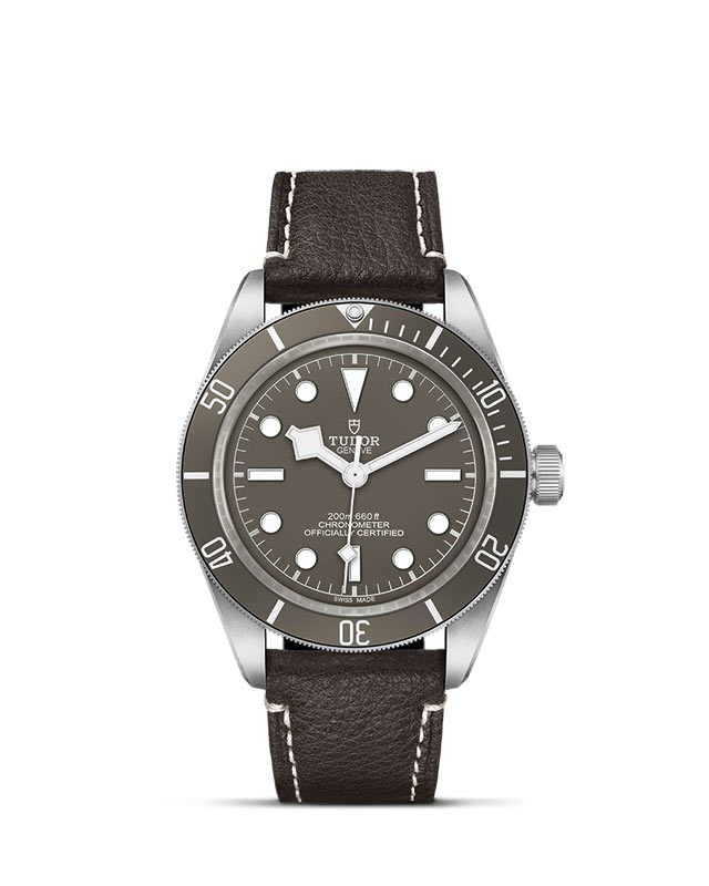 Black Bay 58 925 M79010SG-0001 Official Tudor Watch Jeweler Grand Rapids