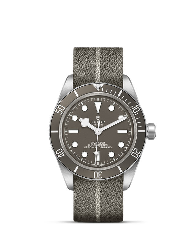 Black Bay 58 925 M79010SG-0002 Official Tudor Watch Jeweler Grand Rapids