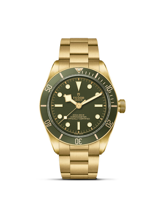 Black Bay 58 18K M79018V-0006 Official Tudor Watch Jeweler Grand Rapids