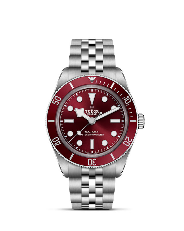 Black Bay 58 M7939A1A0RU-0001 Official Tudor Watch Jeweler Grand Rapids