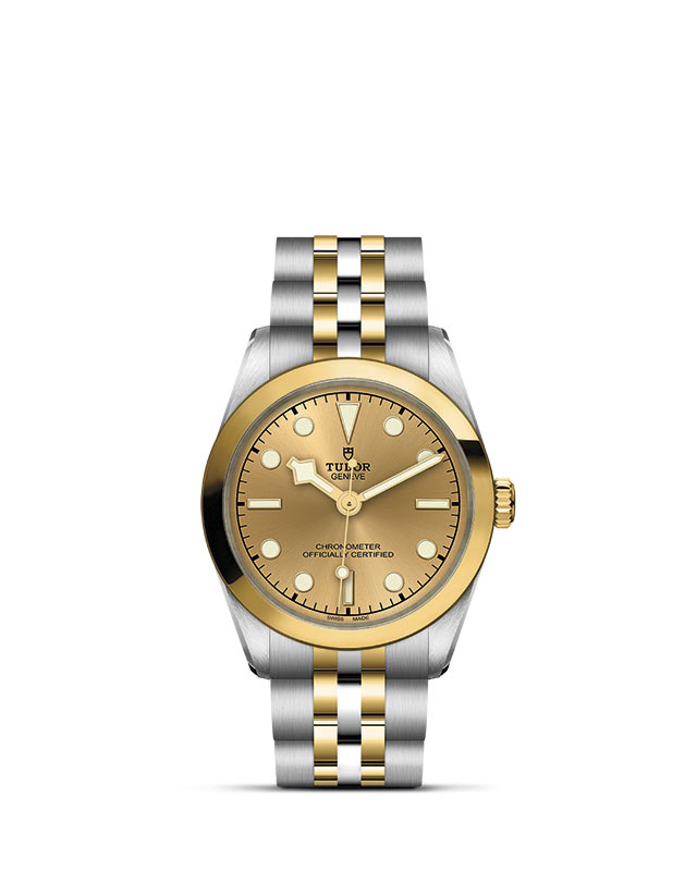 Black Bay 31 S&G M79603-0005 Official Tudor Watch Jeweler Grand Rapids