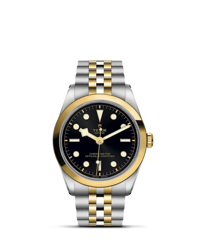 Black Bay 36 S&G M79643-0001 Official Tudor Watch Jeweler Grand Rapids