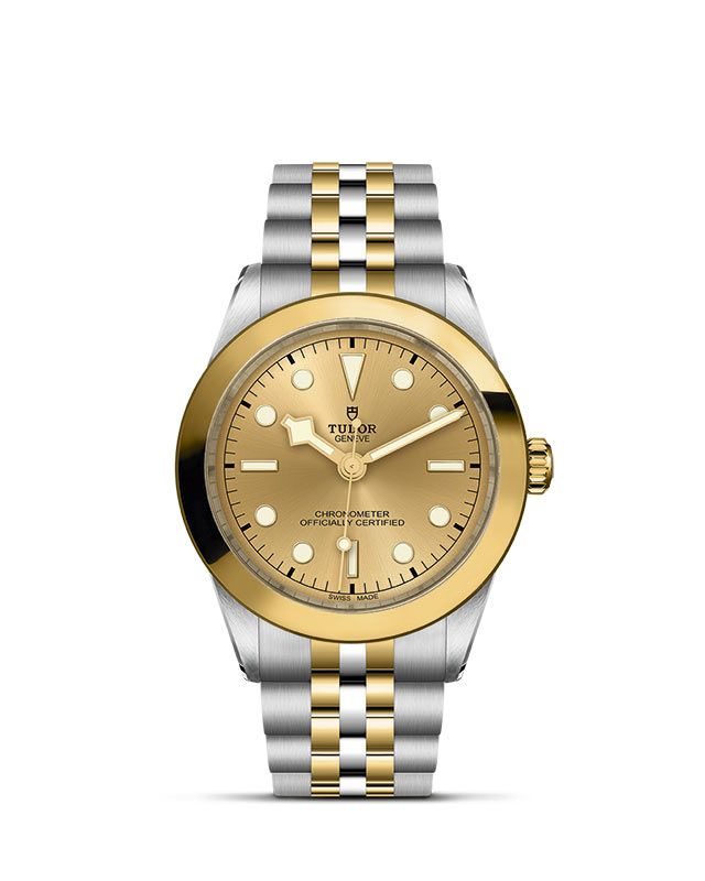 Black Bay 39 S&G M79663-0005 Official Tudor Watch Jeweler Grand Rapids