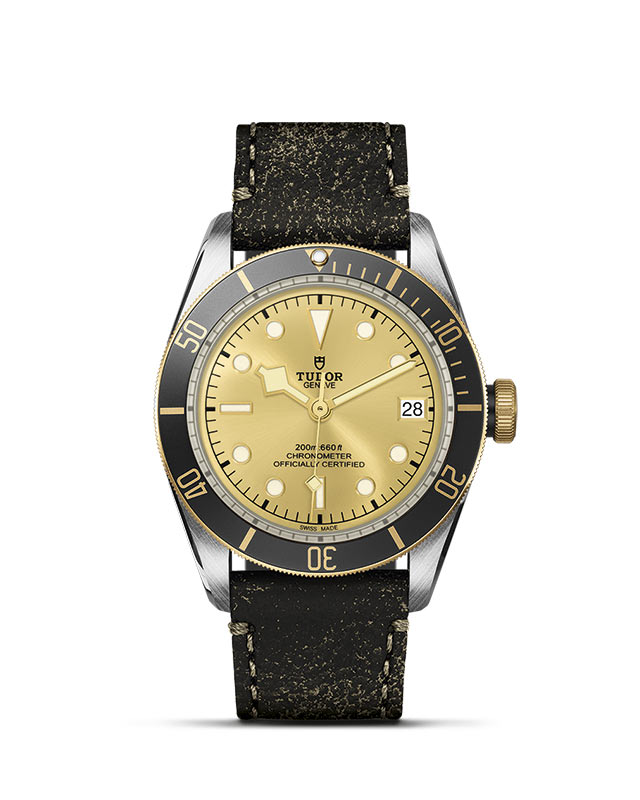 Black Bay S&G M79733N-0003 Official Tudor Watch Jeweler Grand Rapids