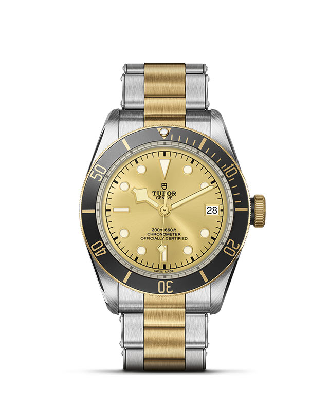 Black Bay S&G M79733N-0004 Official Tudor Watch Jeweler Grand Rapids