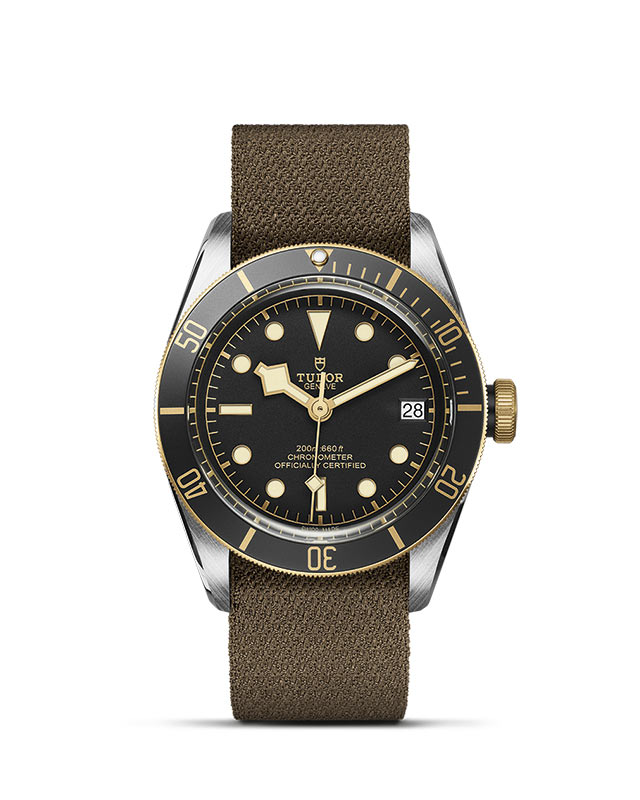 Black Bay S&G M79733N-0005 Official Tudor Watch Jeweler Grand Rapids