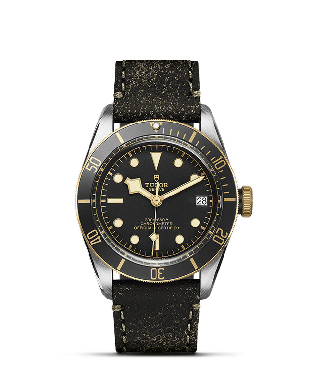 Black Bay S&G M79733N-0007 Official Tudor Watch Jeweler Grand Rapids