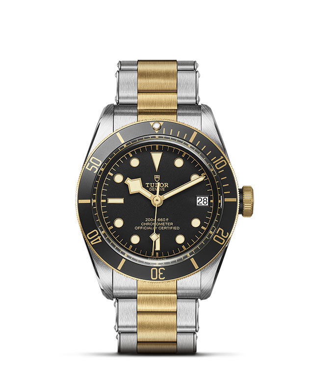 Black Bay S&G M79733N-0008 Official Tudor Watch Jeweler Grand Rapids