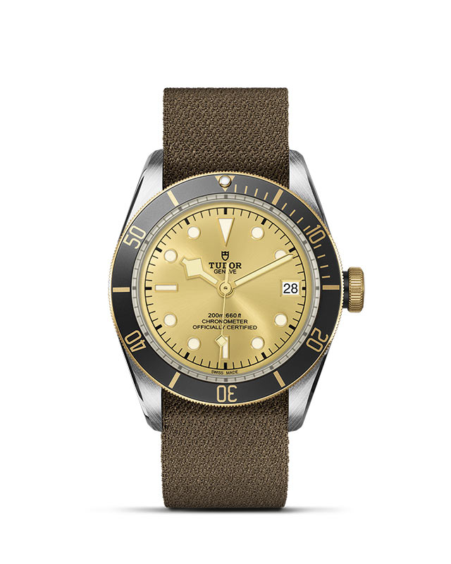 Black Bay S&G M79733N-0006 Official Tudor Watch Jeweler Grand Rapids