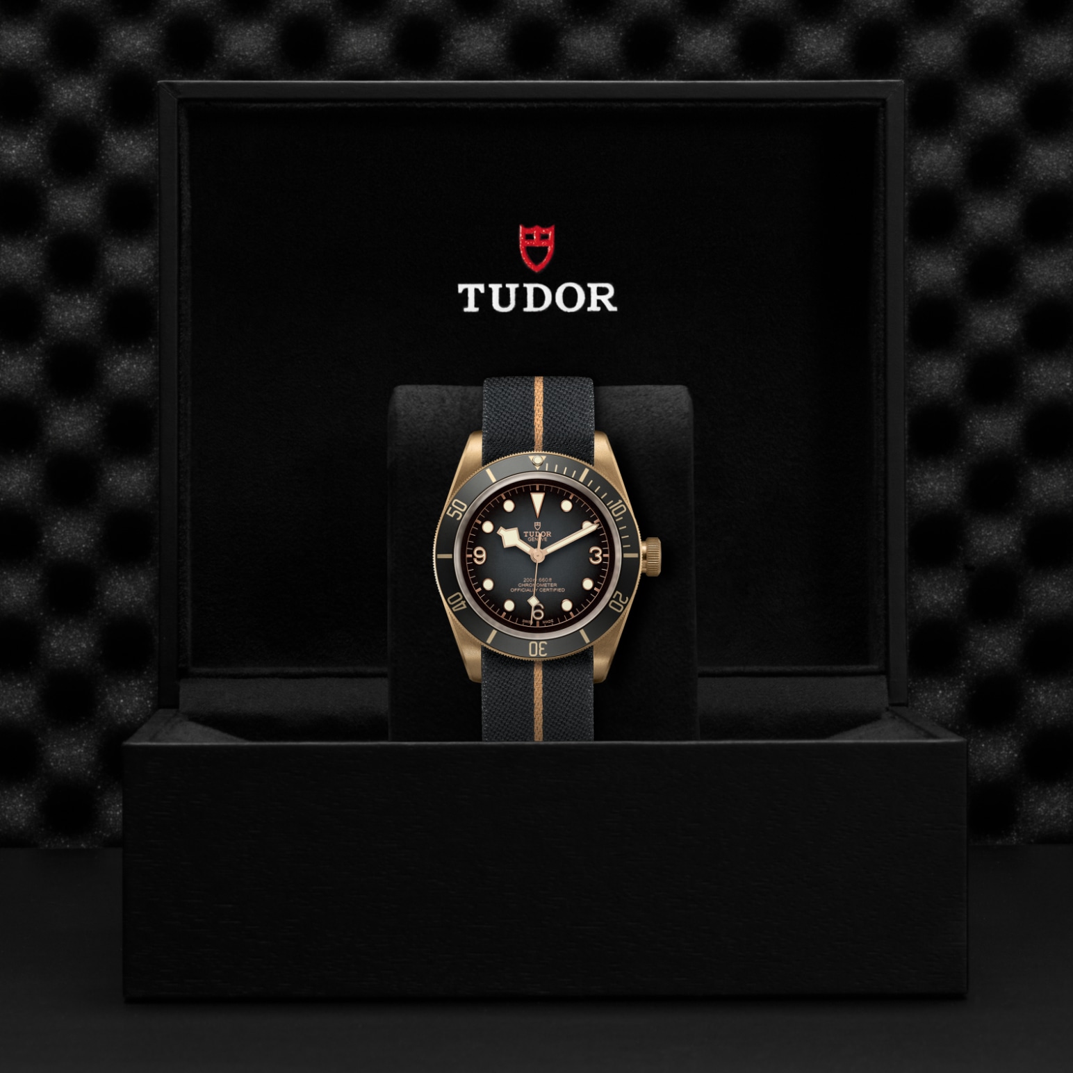 Black Bay Bronze - Image 4