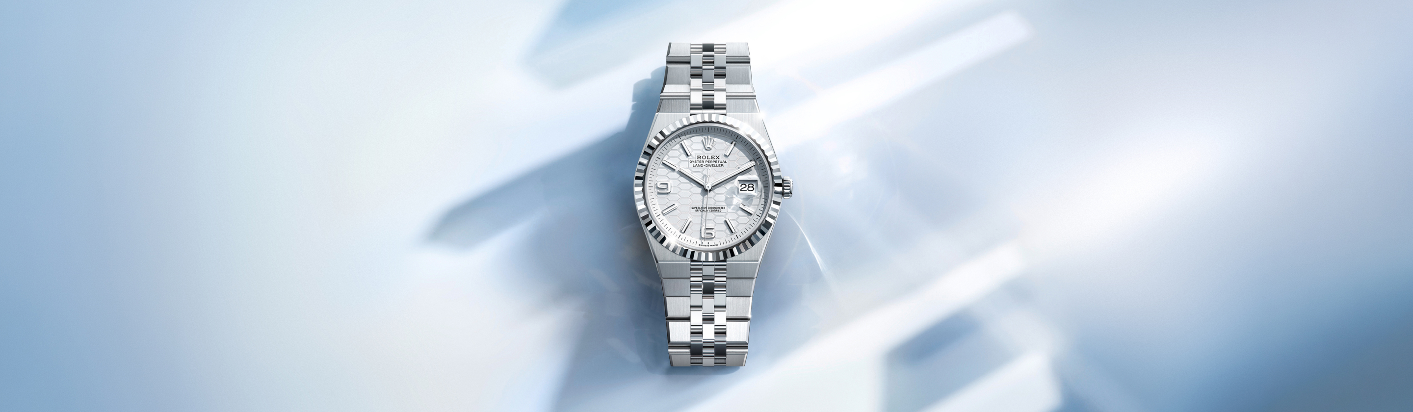 Rolex Land-Dweller Watches | Paul Medawar Fine Jewelry